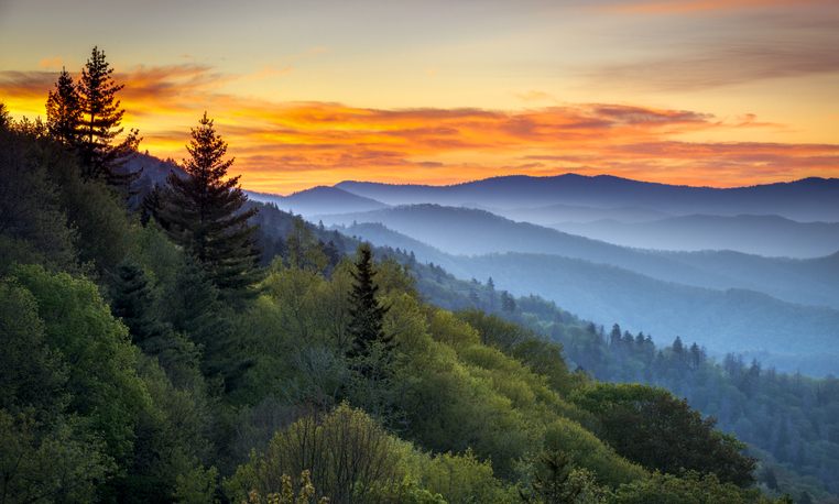 Pigeon Forge